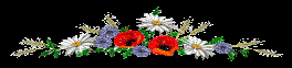 http://os1.i.ua/3/1/9483332_191d174d.gif